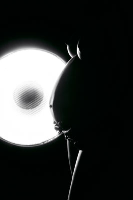 bauch vor lampe
